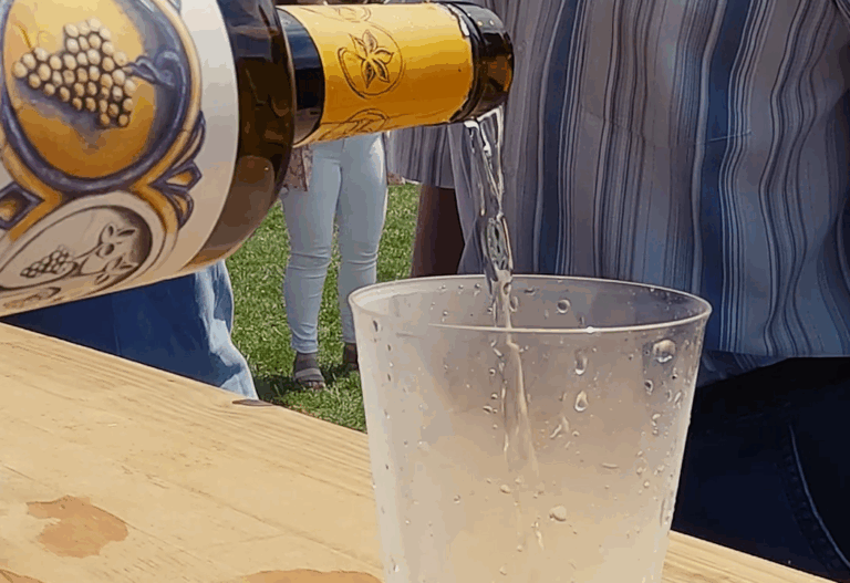 TXAKOLI EGUNA SIRVIENDO